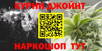 индика Бийск