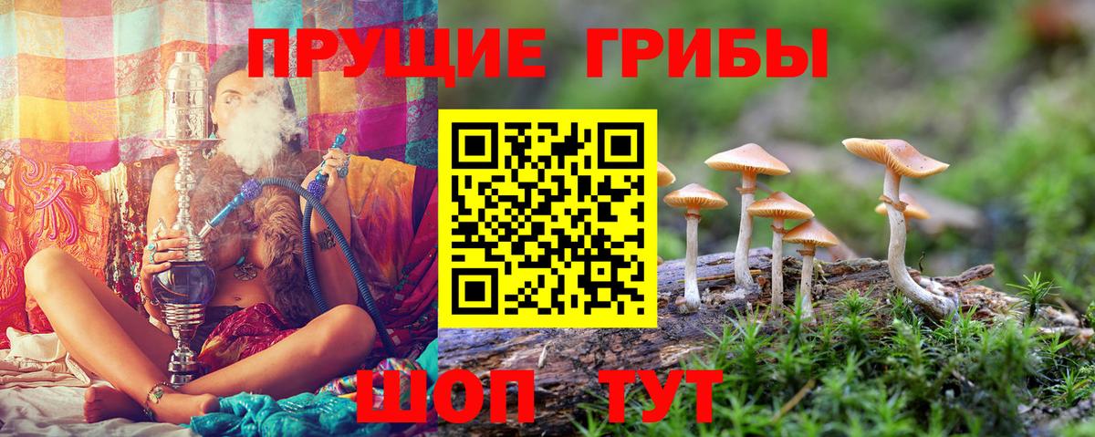 Галлюциногенные грибы Cubensis Когалым